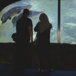 acd082b1-1912-4e6f-abfe-3ccd67937f51